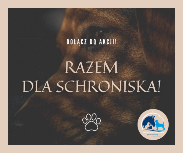 Razem dla schroniska!